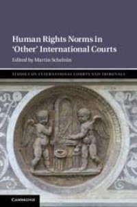 Human Rights Norms in 'other' International Courts