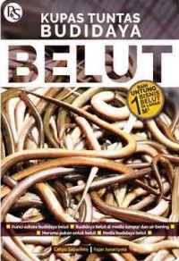Kupas Tuntas Budidaya Belut
