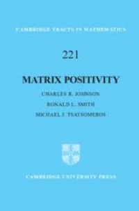 Matrix Positivity