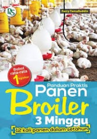 Panduan Praktis Panen Broiler 3 Minggu