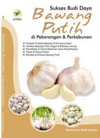 Sukses Budi Daya Bawang Putih di Pekarangan dan Perkebunan