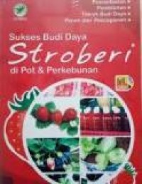 Sukses Budi Daya Stroberi di Pot dan Perkebunan