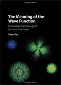 The Meaning of the Wave Function : in search of the ontology of quantum mechanics