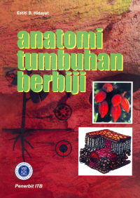 Anatomi Tumbuhan Berbiji